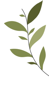 planta derecha