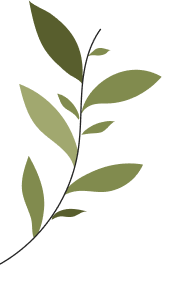 planta izquierda